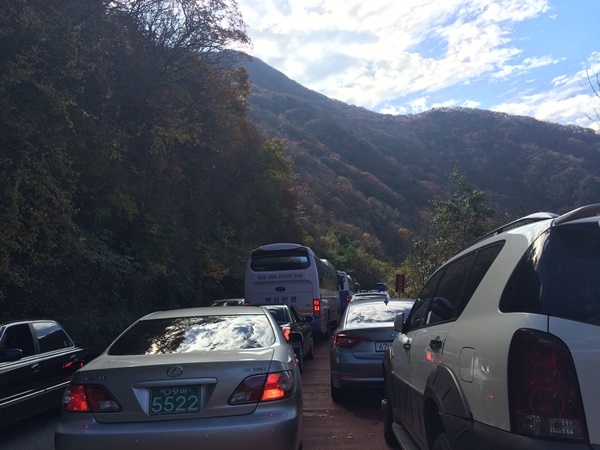 지리산 성삼재 도로에 차량들이 뒤엉켜 있다. ⓒ국립공원을지키는시민의모임 제공