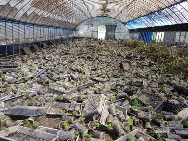 섬진강 범람으로 침수된 니빌하우스 화훼 묘목들이 널브러져 있다.  ⓒ섬진강 홍수 구례군대책위원회 제공