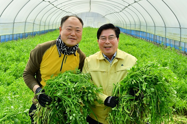 유두석 전남 장성군수(오른편)가 미나리 재배농가를 찾아 격려하고 있다.