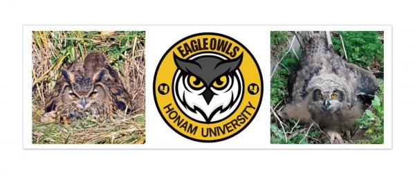 호남대학교 e스포츠구단 ‘수리부엉이’(Eagle Owls) 심볼마크(중앙)와 호남대학교 캠퍼스에서 서식하고 있는 수리부엉이(좌·우).