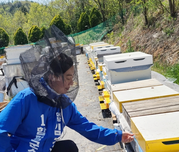 김경자 더불어민주당 함평군수 예비후보가 지난 21일 함평군 함평읍 영호 꿀벌 농가를 방문해 현장을 살펴보고 있다.