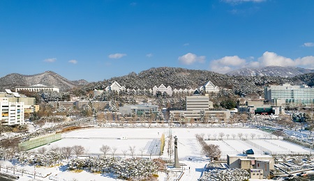 조선대학교 캠퍼스.