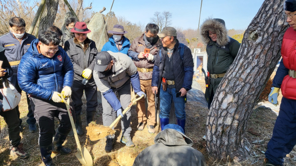나무의사들이 소나무 수세회복에 대한 교육을 받고 있다. ⓒ 김중태 기자