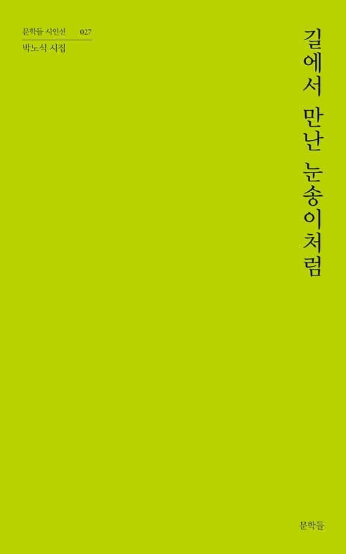 박노식 시인의 네 번째 시집 '길에서 만난 눈송이처럼' 표지그림. ⓒ문학들 제공